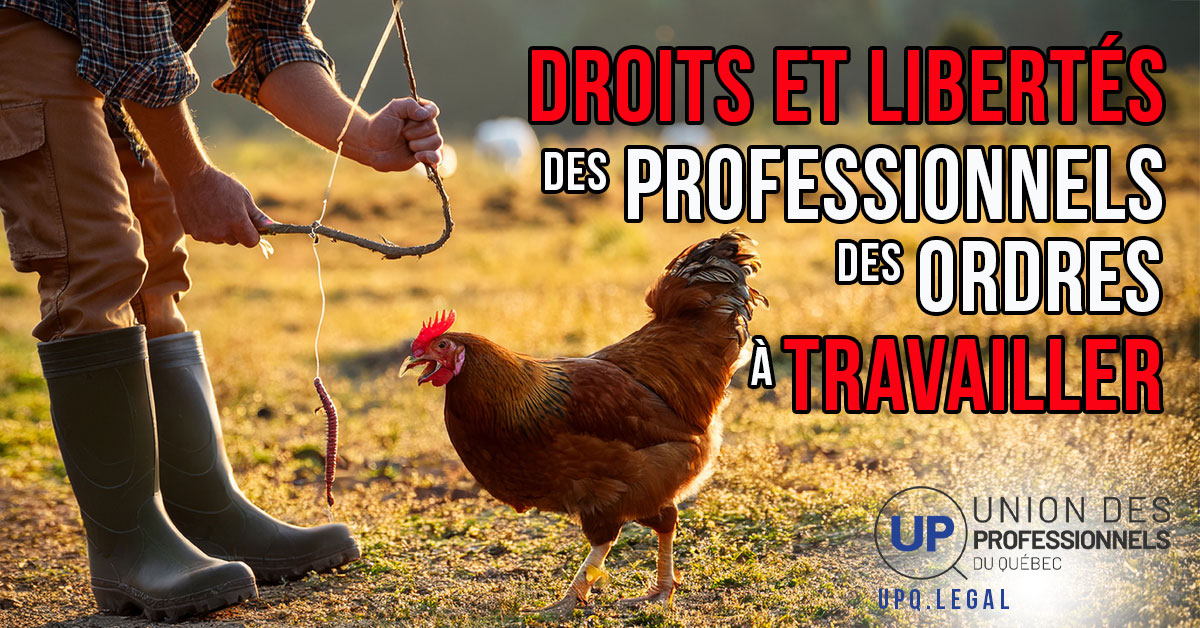 Absence de droits et libertés pour travailler par la pratique d'une profession au Québec